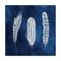 Trademark Fine Art Grace Popp 'Cyanotype Feathers I' Canvas Art, 14x14 WAG06090-C1414GG